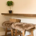 Apartamento - Musgo