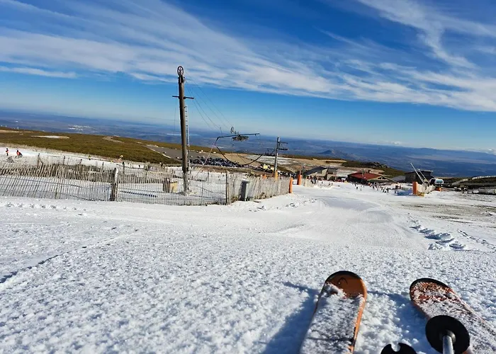 - Musgo 아파트 베하르