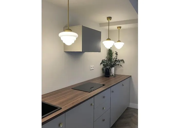 - Musgo 아파트 베하르